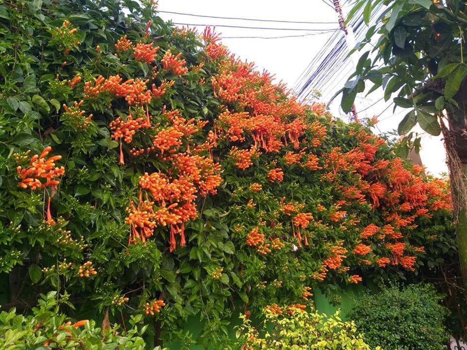 Baan Bua Homestay Chiang Rai Eksteriør bilde